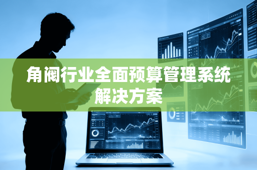 角阀行业全面预算管理系统解决方案
