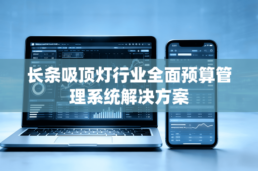 长条吸顶灯行业全面预算管理系统解决方案