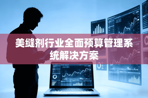美缝剂行业全面预算管理系统解决方案