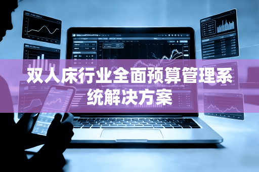 双人床行业全面预算管理系统解决方案