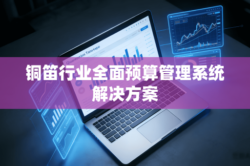 铜笛行业全面预算管理系统解决方案